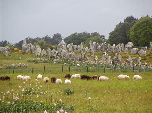 hotel des Druides, hotel à Quiberon