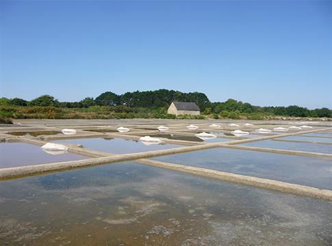 hotel des Druides, hotel à Quiberon